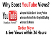 provide 2000 Youtube views to your Youtube video to make your video go viral