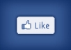 provide 170+ guaranteed facebook likes within 2 days