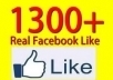 add 1300+ facebook fans to your fan page in less than 24 hours