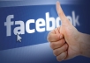 add you 350+ REAL facebook likes 