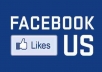 REAL ! REAL ! REAL! I Will Give you 210++  real and active fans like on your any kinds of Fan-Page No Use any software 100% real and trusted service only 