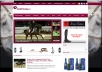 create 13 link from italian site (PR 2 to 5)