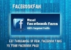 get you 300+ Real Facebook likes 