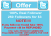 provide 100+ Twitter Followers, 100% Real and Active Human