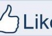 give you 6000+ Facebook site likes(not fan page)within 24 hours on your website