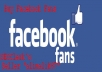 provide 1000+ Facebook Page Likes in less than 24 hours ( Special Offer )