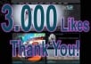 get you 3000+ Facebook likes within 48 hours To your fanpage for