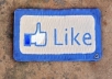 provide you 200+ guaranteed facebook likes to your fanpage or photos