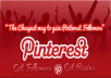 give you 1000+ Pinterest Followers / Likes or Repins without admin access
