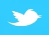 give you  1000  twitter follower in your any username