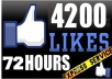 give You 4200+ Facebook Fans USA Likes With Profile Pictures And Fully Profiled Accounts Which Look Like Real Accounts Only