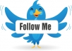Get You 1000+ High Quality Follower your Twitter Account