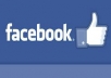 add 1700+ real and genuine facebook likes for your facebook page in just 48 hours