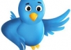  retweet your message to 250,000 users and add 2,500 real followers to your account 