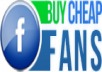 provide 1,000 facebook Likes to your fanpage 