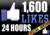 give You 1600++ Facebook Fans USA Likes With Profile Pictures And Fully Profiled Accounts Which Look Like Real