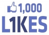 get you 1000 REAL Facebook likes/fans to your fan page
