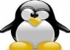 build a safe panda and PENGUIN 3 tiers link pyramid with 50 high quality links and 10000 profile links