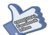 get you 1000+ Real Looking USA Facebook Page Likes having Profile Pictures within 20 hours or less to your Fanpage
