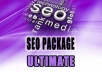 give Your WebSite a Boost - SEO ULTIMATE Package
