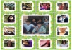 provide you  200 up google +1 like