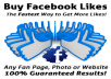 get you permanent 250+ REAL facebook likes