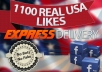 give You 1100+ Facebook Fans USA Likes All Real Fb Page Likes For Fan pages