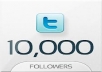 add 10000+ Real Looking Twitter Followers, no egg to your account in a day