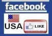provide Real 500+ USA Facebook Likes for your any fanpage within 3 days only