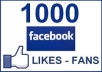 provide 800+ 100% REAL HUMAN HIGH QUALITY FACEBOOK FANS LIKES for your any fanpage within 4 days only