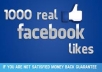provide 1000+ 100% REAL HUMAN HIGH QUALITY FACEBOOK FANS LIKES for your any fanpage within 5 days only