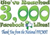 provide 1700+ 100% REAL HUMAN HIGH QUALITY FACEBOOK FANS LIKES for your any fanpage within 9 days only