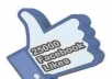 provide 2500+ 100% REAL HUMAN HIGH QUALITY FACEBOOK FANS LIKES for your any fanpage within 13 days only
