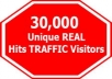sent 30000 unique visitors to your website