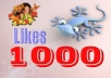 add 1000 Usa Facebook likes to your fanpage with US account 
