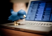 add 30,000 + New followers in the Twitter account you want in 24 hours , no password