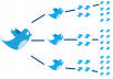 Retweet your tweet for 60 profiles