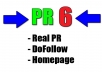 create a PERMANENT PR 6 DoFollow Backlink on my PR 6 site for you