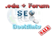 give 1100 back links with anchor text and submit it to my paid linklicious and lindexed ping accounts