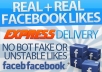 1800+ facebook PAGE likes from european countries in 20minutes, all real and active fb fans, pagelikes, fbfans, facebook pages, fanpages