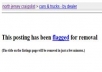 teach u how to beat craigslist flagging 
