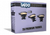 Give You 20 Premium Woothemes fore just only