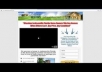 show you how to make $500 a day using squeeze page in niche real estate themes