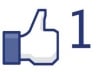 add 1600++ facebook like real garanted