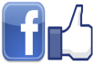 Get you 250+ Real facebook likes