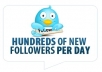increase 100 Twitter Followers on your twitter account