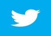 provide you 300 twitter accounts