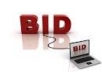  bid on your ebay auction as many times as you want