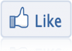300 Facebook fan page Like