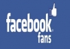 show you how to make $2000 By Just Selling Likes to Facebook Fan Page